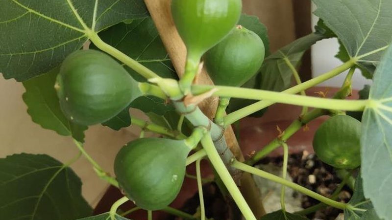 医院弱电工程：关键环节与选型要点**