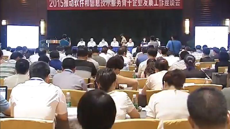 IT外包服务标准：揭秘企业稳定发展的关键