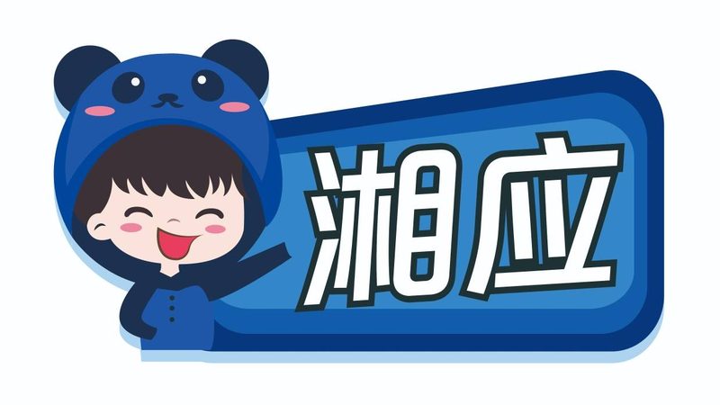 企业IT外包合同模板：构建稳固合作基石